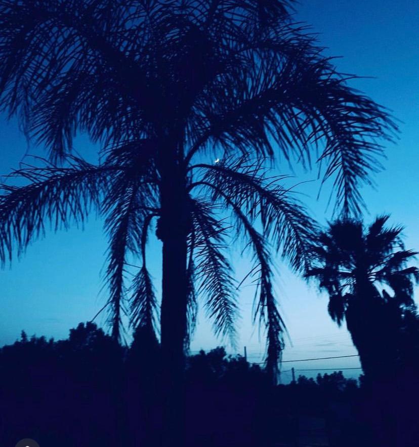 Villa Sarda بلدية آسميني المظهر الخارجي الصورة